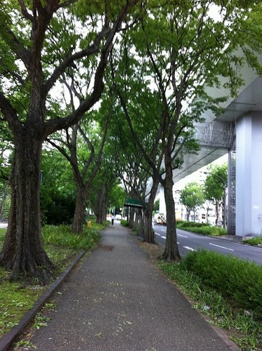 外堀02